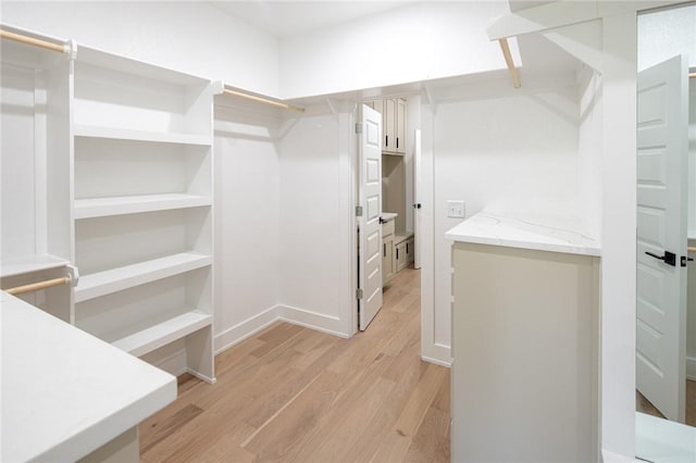13040 Seba Rd, Centerton, AR 72719 - spacious closet with light wood-type flooring
