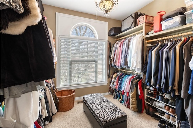 spacious closet with carpet floors