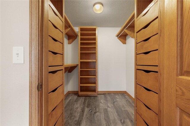 1120 County Road 6012, Berryville, AR 72616 - walk in closet with dark wood finished floors