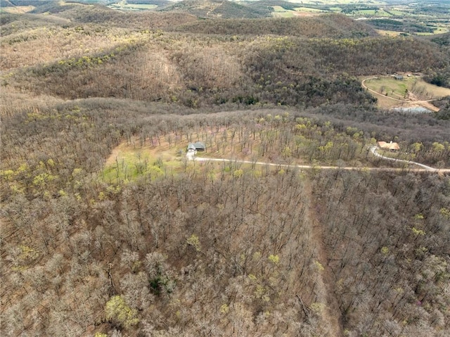 1120 County Road 6012, Berryville, AR 72616 - birds eye view of property