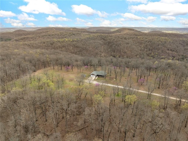 1120 County Road 6012, Berryville, AR 72616 - aerial view featuring a rural view