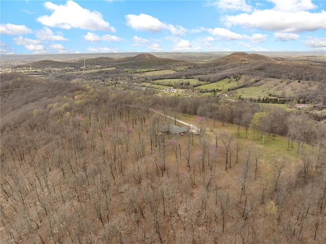 1120 County Road 6012, Berryville, AR 72616 - birds eye view of property