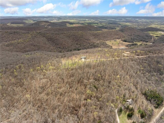 1120 County Road 6012, Berryville, AR 72616 - birds eye view of property
