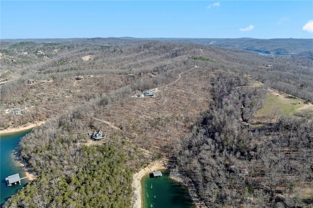 1476 County Road 156, Eureka Springs, AR 72632 - photo 53