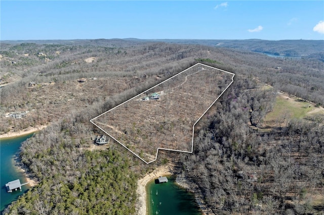 1476 County Road 156, Eureka Springs, AR 72632 - photo 54