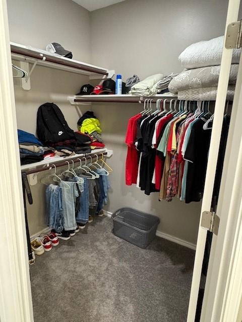 210 Rose Hill Dr, Berryville, AR 72616 - walk in closet featuring carpet floors