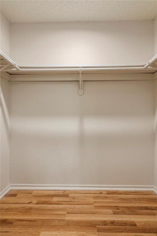 4292 W Beaver Ln, Fayetteville, AR 72704 - walk in closet with light wood finished floors