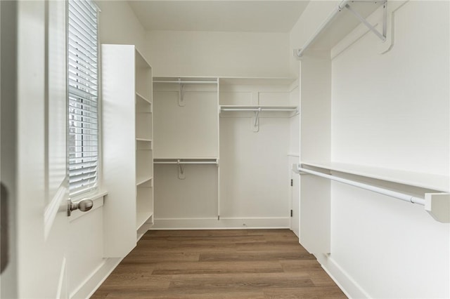 walk in closet with wood finished floors