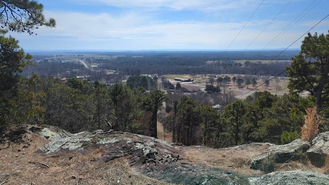 000 Ridge Dr, Dardanelle, AR 72834 - photo 1