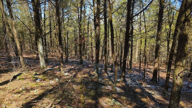 000 Ridge Dr, Dardanelle, AR 72834 - photo 2