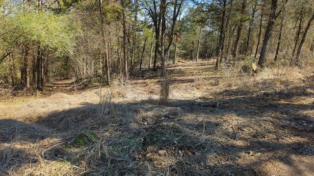 000 Ridge Dr, Dardanelle, AR 72834 - photo 3