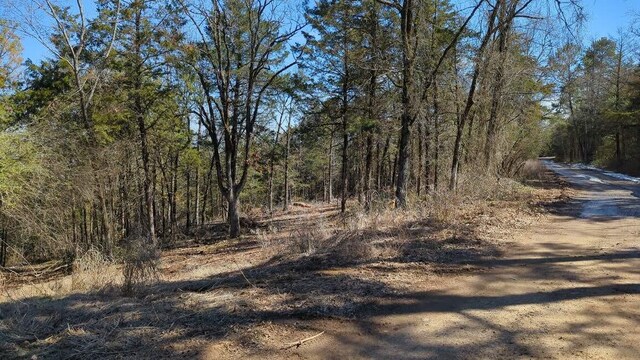 000 Ridge Dr, Dardanelle, AR 72834 - photo 4