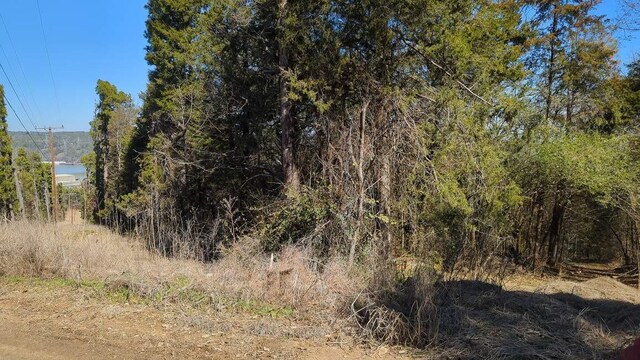 000 Ridge Dr, Dardanelle, AR 72834 - photo 5
