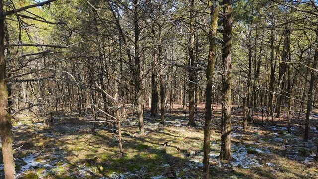 000 Ridge Dr, Dardanelle, AR 72834 - photo 7