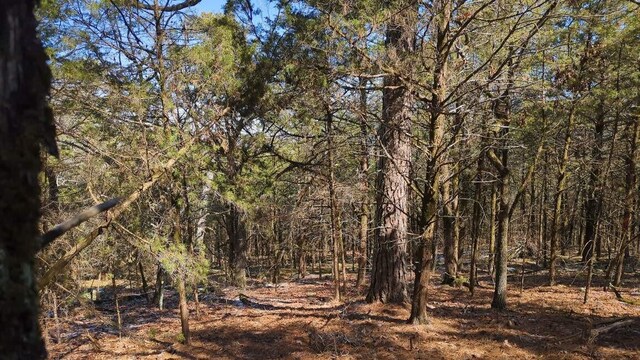 000 Ridge Dr, Dardanelle, AR 72834 - photo 8