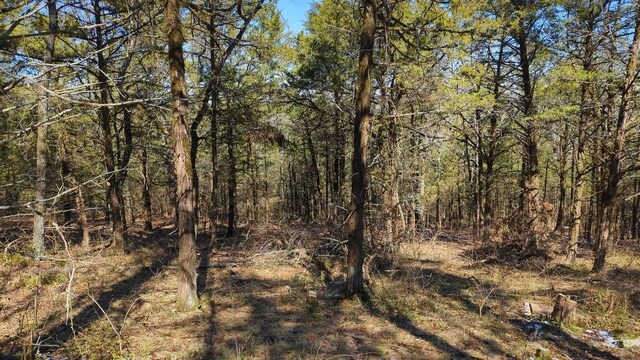 000 Ridge Dr, Dardanelle, AR 72834 - photo 10