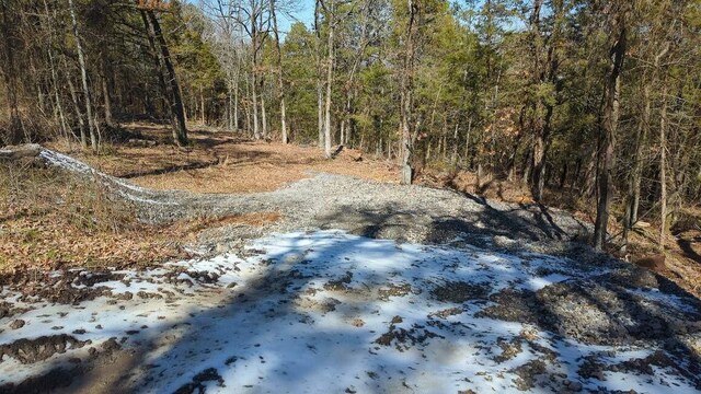 000 Ridge Dr, Dardanelle, AR 72834 - photo 11