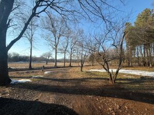 3656 Johnny Tate Rd, Waldron, AR 72958 - photo 8