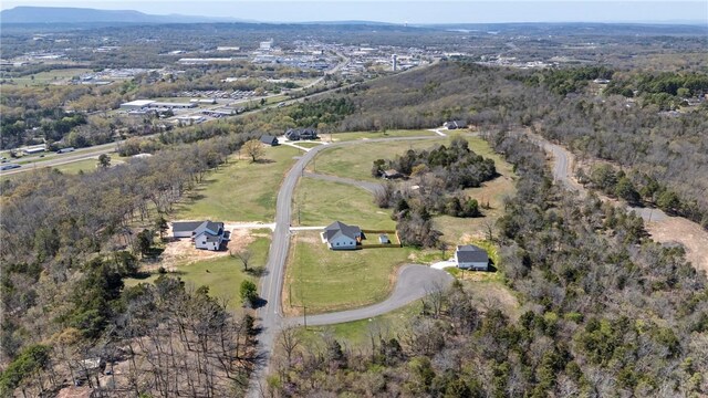 LOT27 Hadley Ln, Russellville, AR 72802 - photo 11