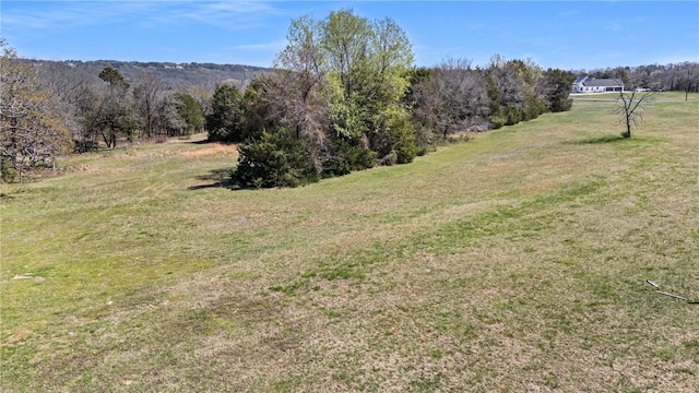392 Apple Ln, Russellville, AR 72802 - photo 18