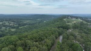 Rainbow, Russellville, AR 72802 - photo 12