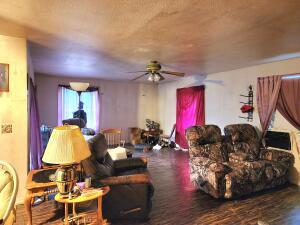 living room featuring ceiling fan and wood finished floors