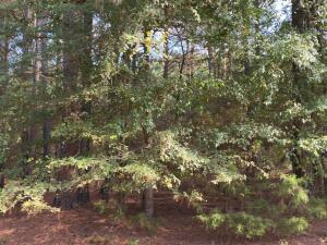 W Chimney Rock Rd, London, AR 72847