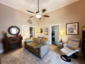 living area with ceiling fan and vaulted ceiling