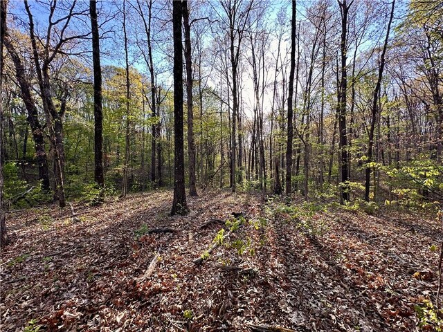 Chatham Dr, Bella Vista, AR 72714