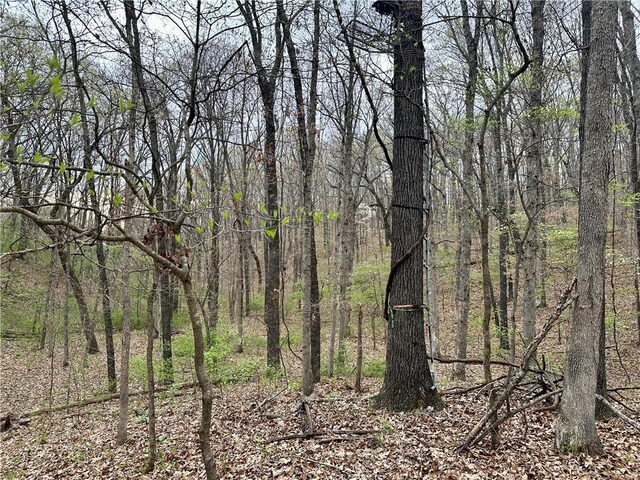 Chatham Dr, Bella Vista, AR 72714
