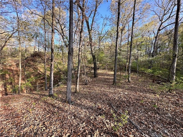 Chatham Dr, Bella Vista, AR 72714
