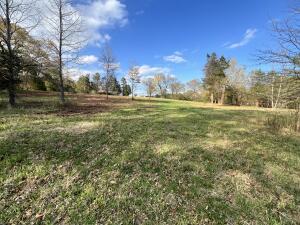 1174 Co Rd Unit 3335, Clarksville, AR 72830 - photo 35