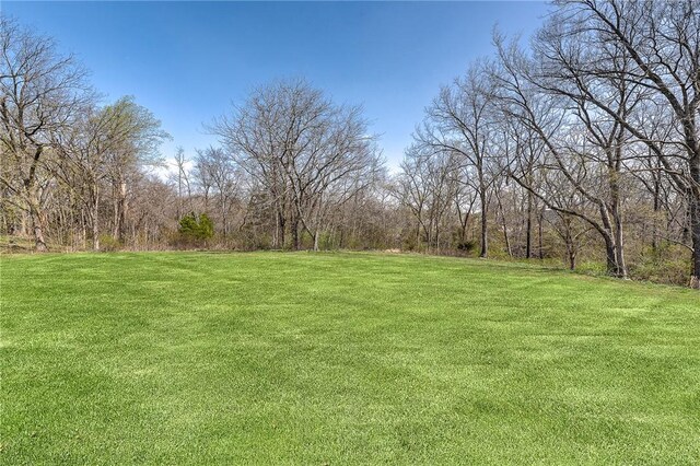 1410 River Point Rd, Fayetteville, AR 72703 - view of grassy yard