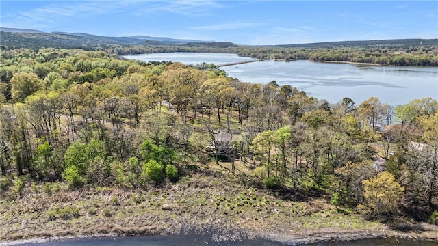 10156 Durvin Ln, Dardanelle, AR 72834 - photo 5