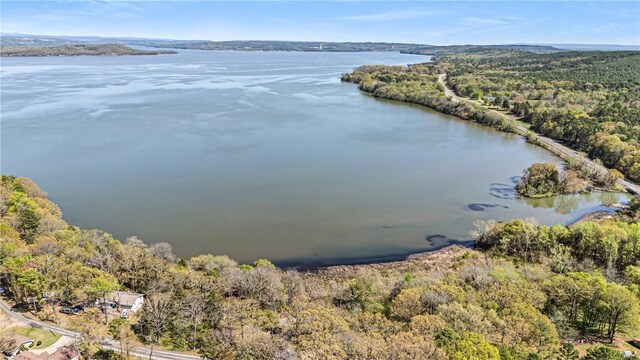10156 Durvin Ln, Dardanelle, AR 72834 - photo 6