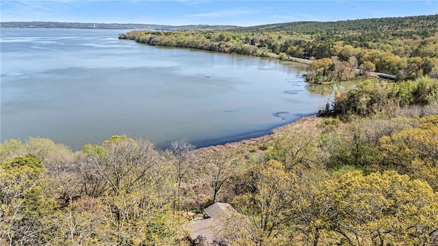 10156 Durvin Ln, Dardanelle, AR 72834 - photo 7