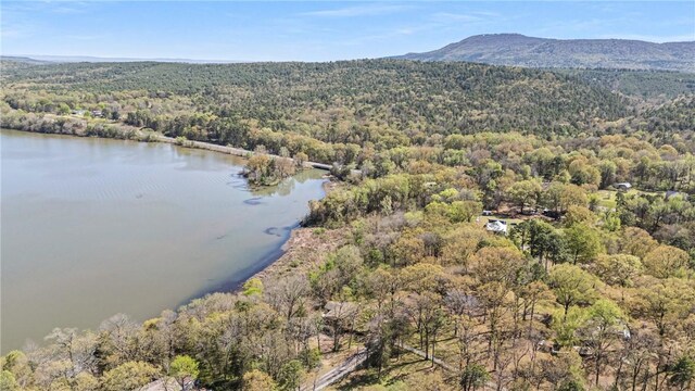 10156 Durvin Ln, Dardanelle, AR 72834 - photo 8