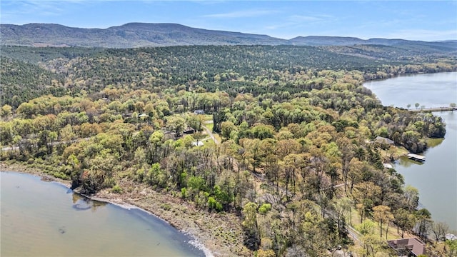 10156 Durvin Ln, Dardanelle, AR 72834 - photo 9
