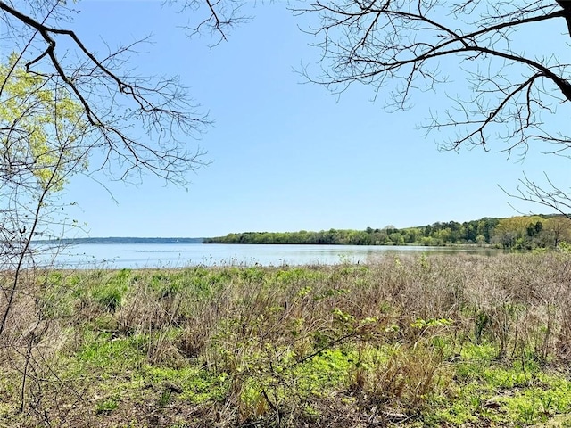 10156 Durvin Ln, Dardanelle, AR 72834 - photo 41