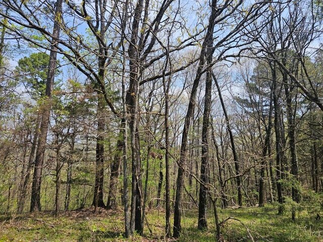 W Chimney Rock Rd W, London, AR 72847