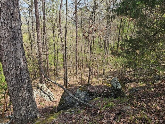 W Chimney Rock Rd W, London, AR 72847