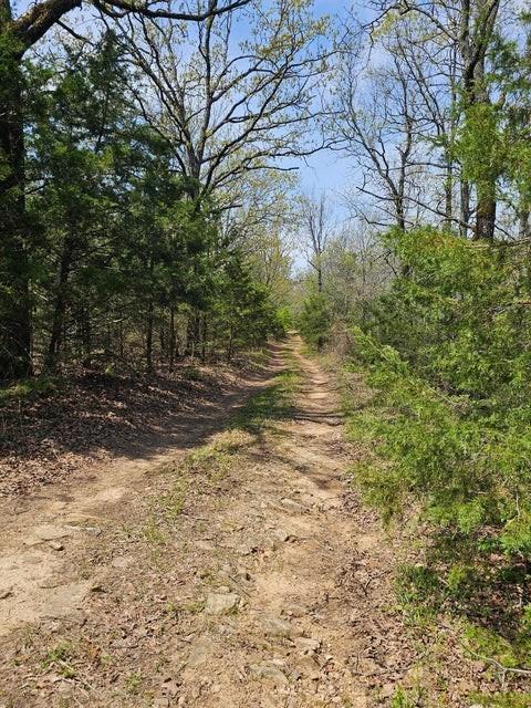 W Chimney Rock Rd W, London, AR 72847