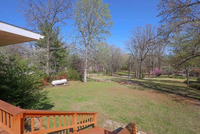 195 Lakeview Dr, Lakeview, AR 72642 - photo 29