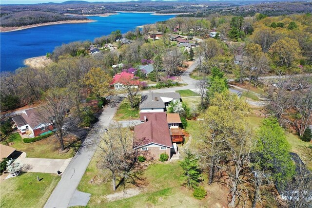 195 Lakeview Dr, Lakeview, AR 72642 - photo 35