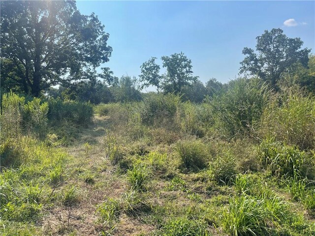 3 Huntington Pl Unit 2, Russellville, AR 72802 - photo 4