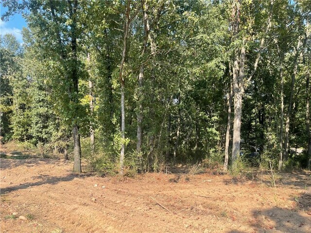 3 Huntington Pl Unit 2, Russellville, AR 72802 - photo 11