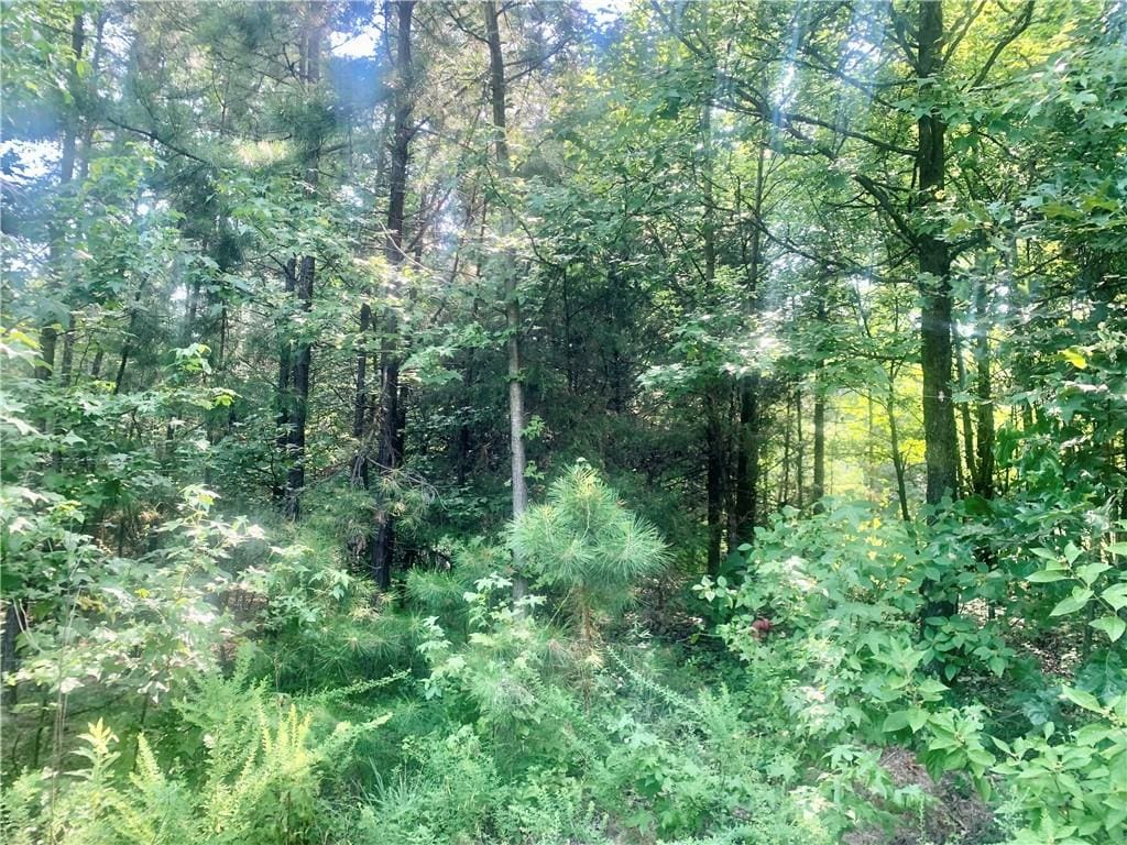 Doe Ln, Dover, AR 72837 - photo 1