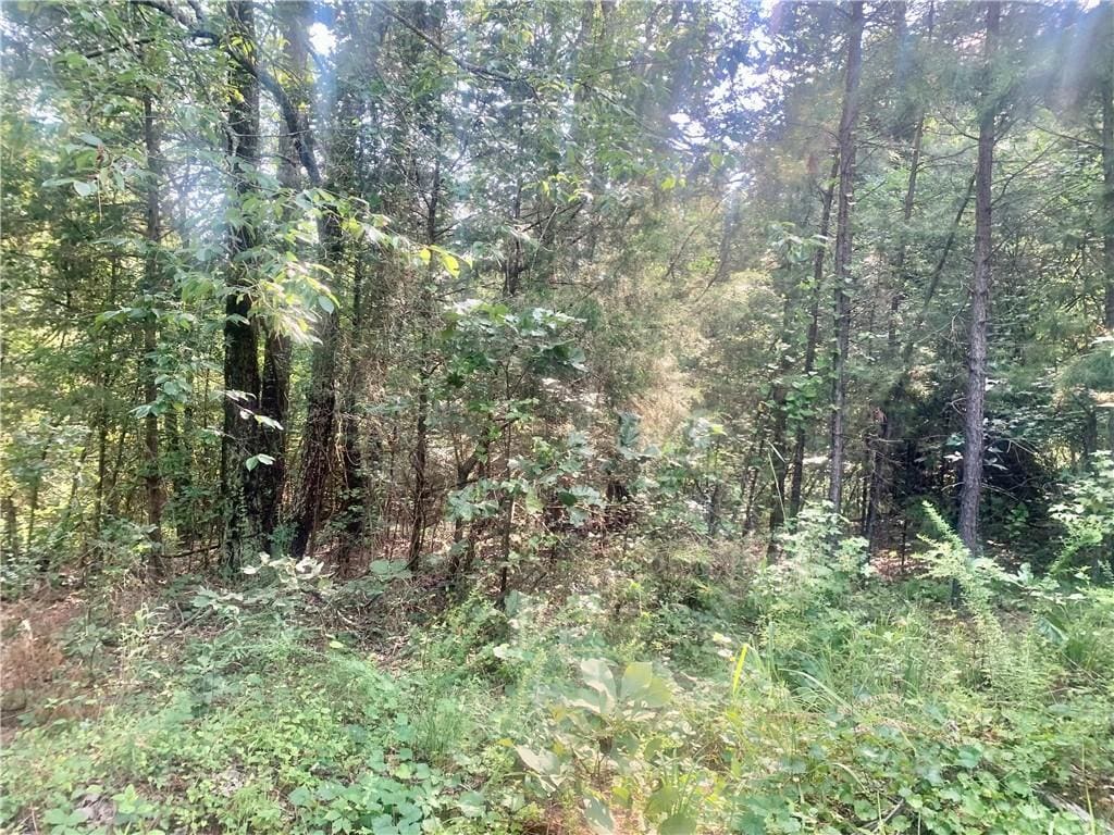 Doe Ln, Dover, AR 72837 - photo 2