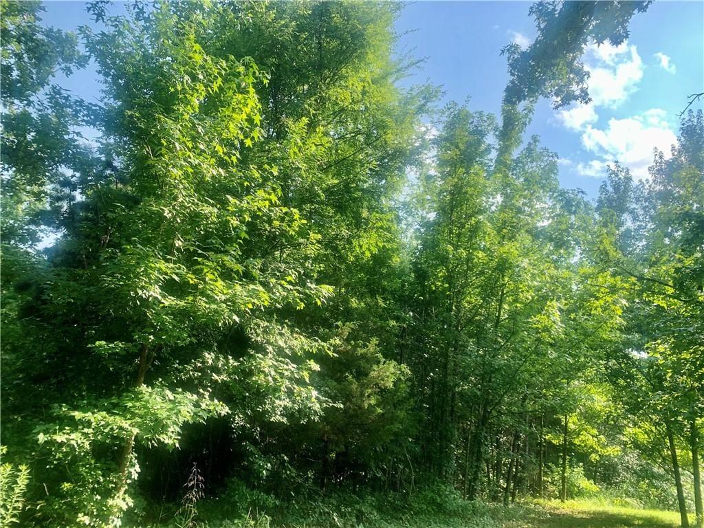 Doe Ln, Dover, AR 72837 - photo 3
