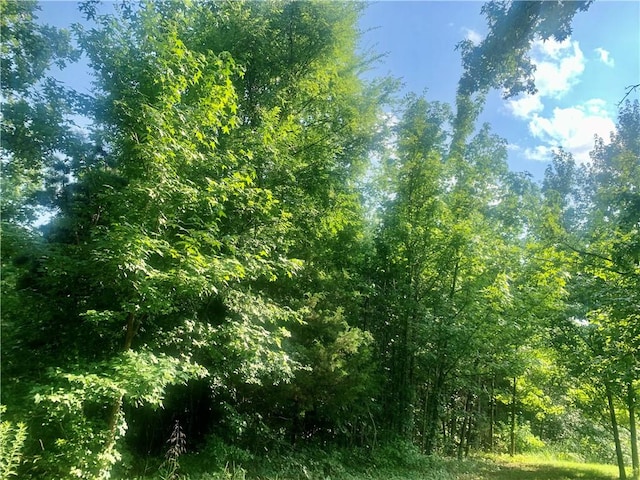 Doe Ln, Dover, AR 72837 - photo 3